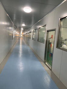 青島西海岸大事件 6.18匯百萃酵素工廠探訪之旅圓滿成功